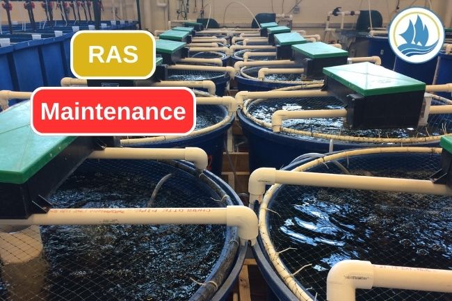 12 Things to Noticed in RAS Maintenance